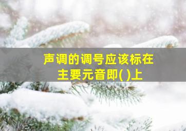 声调的调号应该标在主要元音即( )上